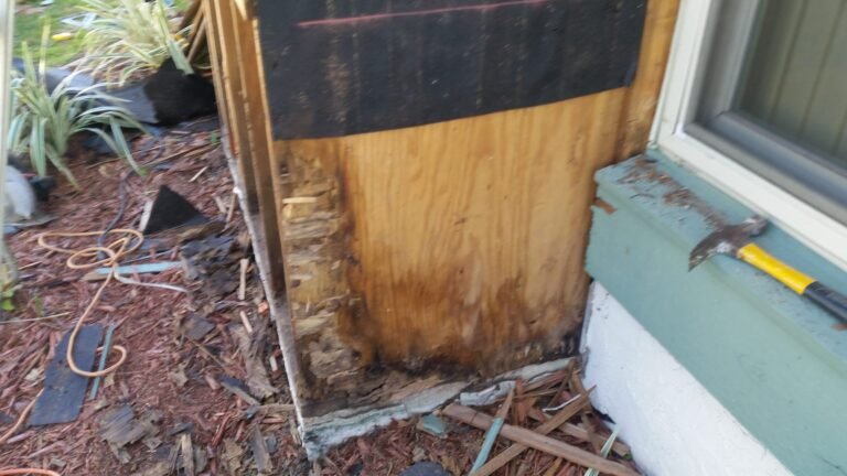 Close-up of rotted exterior wood before repair